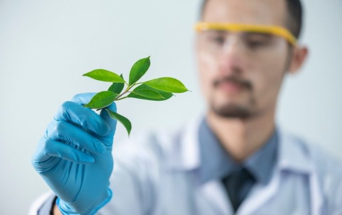 Greenwashing erkennen