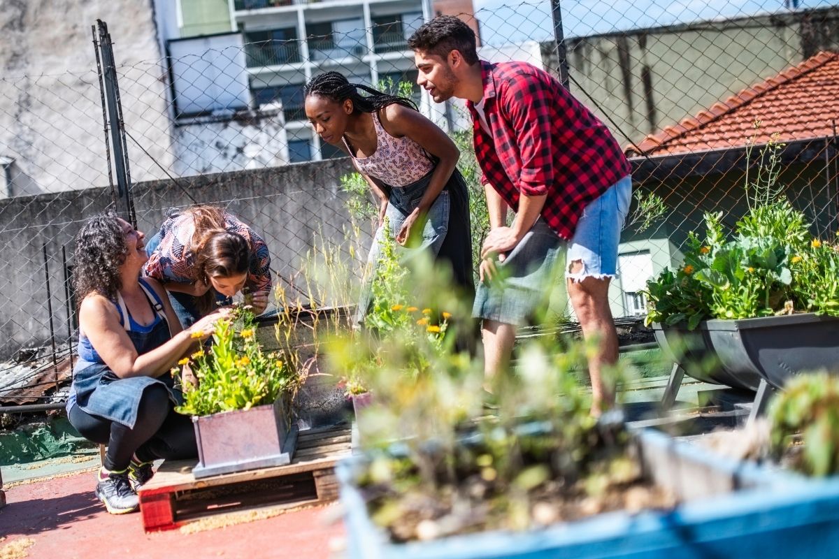 mehrere Personen nehmen an einem Urban Gardening teil. Im Vordergrund stehen die Setzlinge, die sie pflanzen