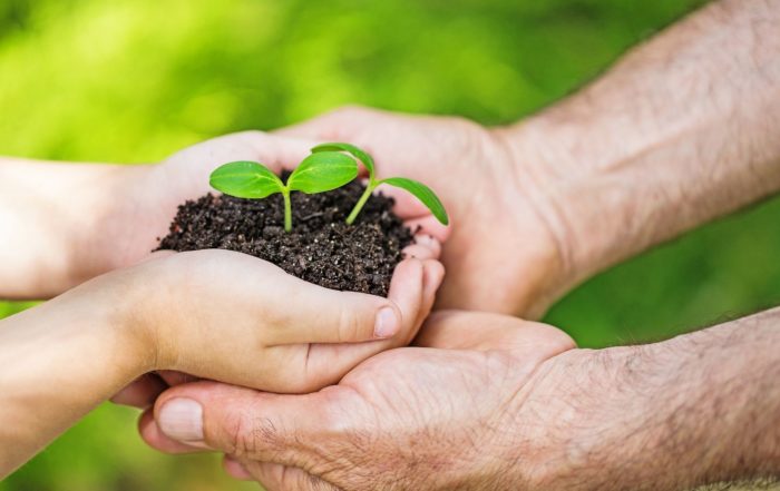 Solidarische Landwirtschaft