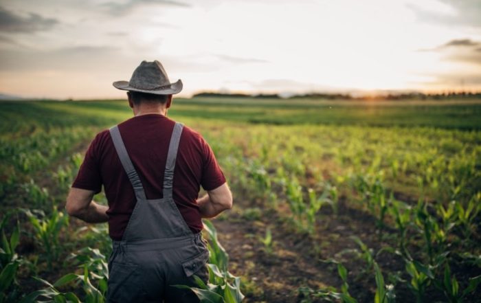 Carbon Farming