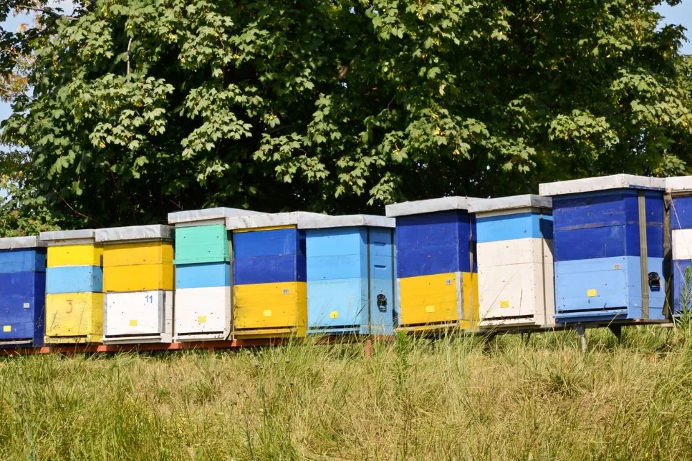 bienenfreundlicher Honig