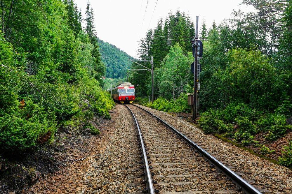 Auf dem Bild ist ein Zug abgebildet. Links und Rechts und im Hintergrund befindet sich jeweils Wald und grüne Bäume. Im Vordergrund des Bildes treten eher die Schienen auf.