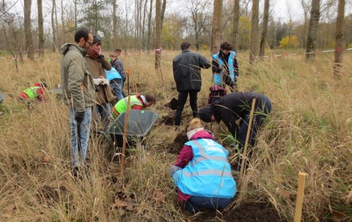 Die GoNature Community hilft bei den Events im Dezember zusammen: Menschen pflanzen auf einer Wiese Bäume