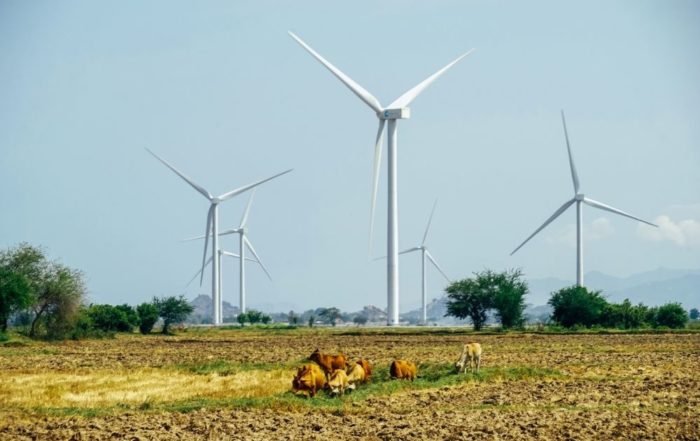 Windräder stehen in der Natur. dieses Bild zeigt den Konflikt Naturschutz vs. Klimaschutz