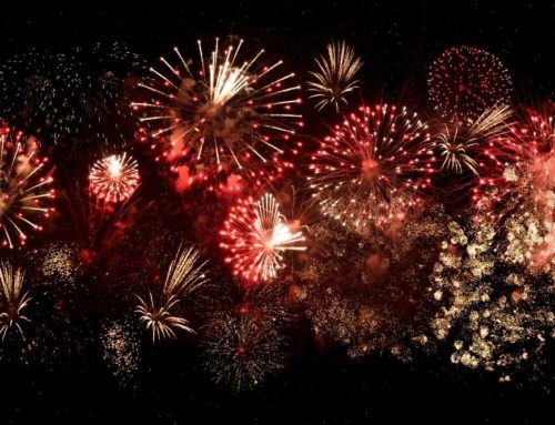 Feuerwerk: Auswirkungen auf Natur, Tiere und Umwelt
