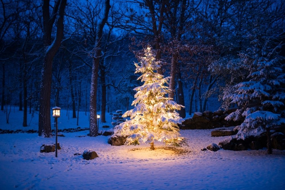 Ein leuchtender Weihnachtsbaum steht in einem verschneiten Garten