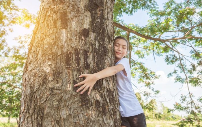 Titelbild Treehugger
