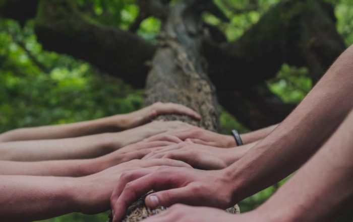 Auf dem Bild sind viele Hände zu sehen, die auf einen Baum gelegt werden. Sie symbolisieren den Zusammenhalt in der GoNature Community.