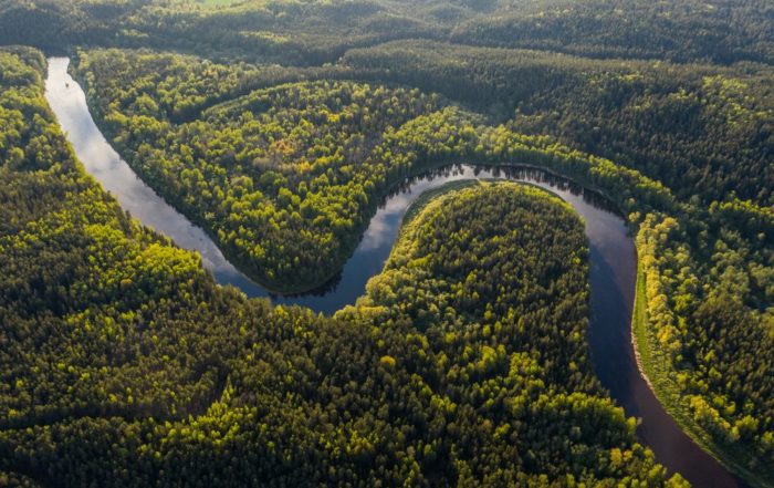 Beitragsbild WWF Akademie zeigt Amazonas aus der Vogelperspektive.